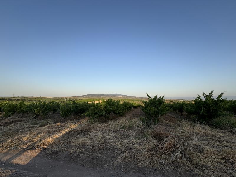 MANİSA SARUHANLI'DA 26.895 M2 SATILIK TARLA (101196446)